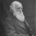 Charles Darwin 1878